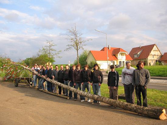 Maibaum 75.jpg